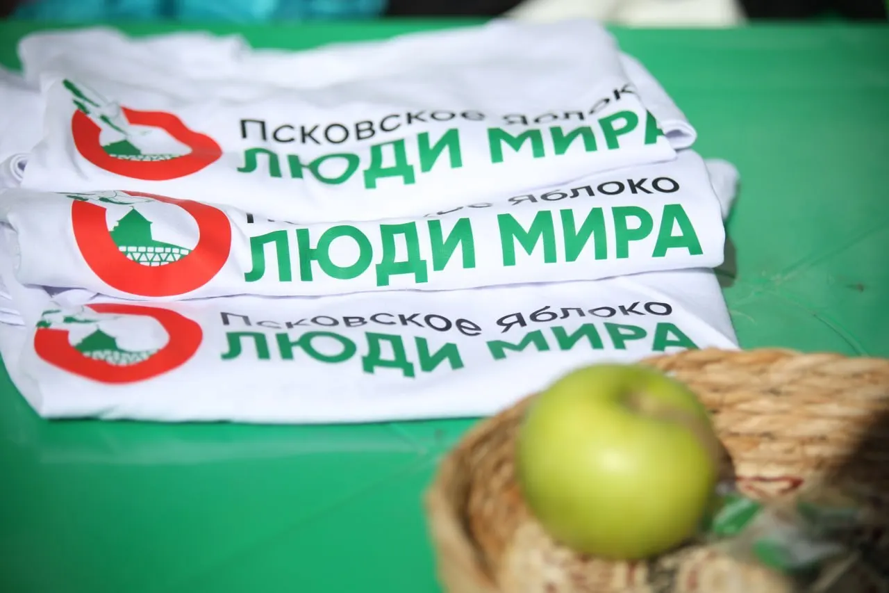 Жалобы касаются нарушений агитации и интеллектуальной собственности у региональных отделений семи партий, в числе которых Единая Россия и КПРФ.