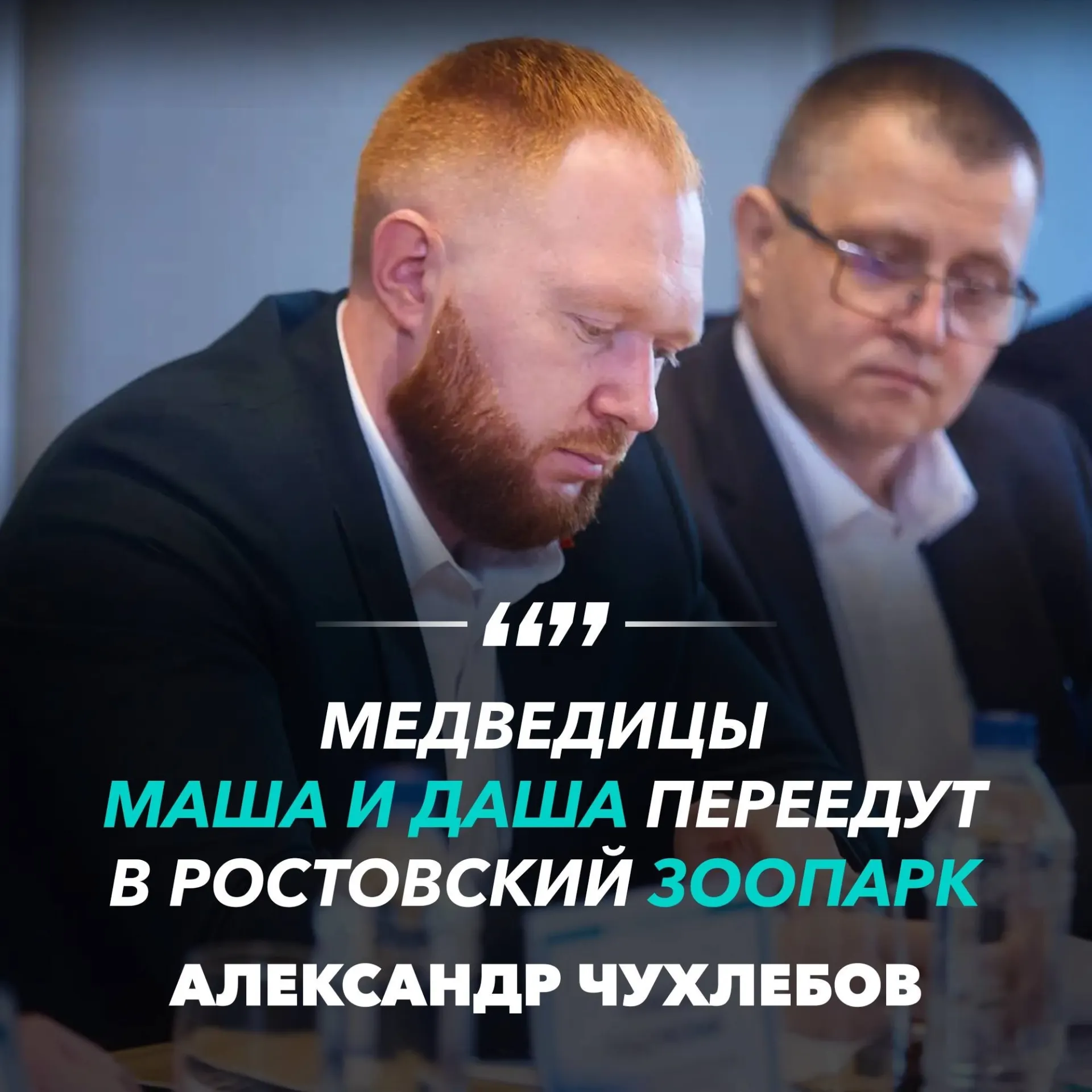 После длительных переговоров Машa и Даша переедут в Ростовский зоопарк; для них уже подготовлен новый вольер и условия содержания.