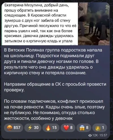 Глава Лиги безопасного интернета призвала к проверке инцидента, произошедшего на фоне ревности, и подчеркнула необходимость осторожности в распространении материалов.