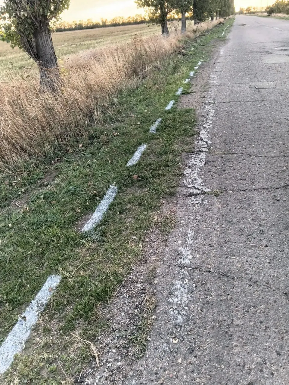 В городе ограничились нанесением светоотражающей разметки, часть линий оказалась на обочине — на земле и траве, вместо ремонта.