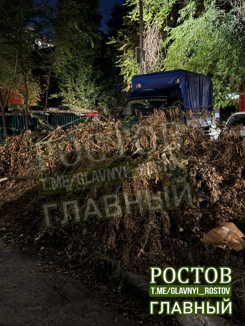 Жители области сообщают о неубранной уборке улиц и неоправданных штрафах за въезд в зону без надлежащего озеленения и знаков.