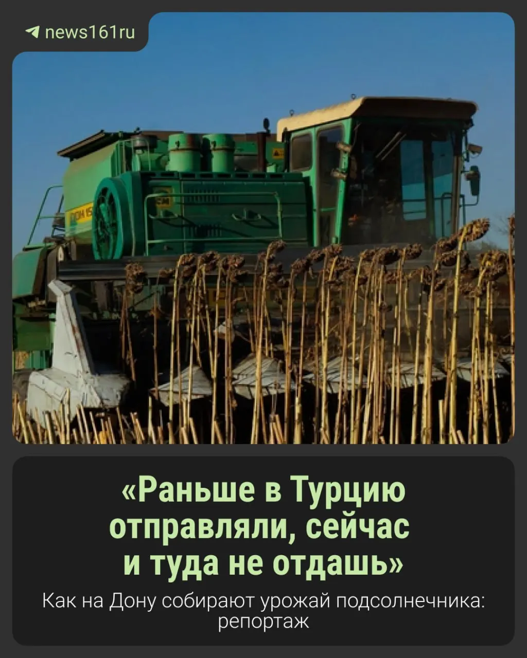 Заметка о начале уборочной кампании подсолнечника в Ростовской области, бюрократических трудностях ФГИС и изменениях в жизни сельских населённых пунктов на фоне засухи.