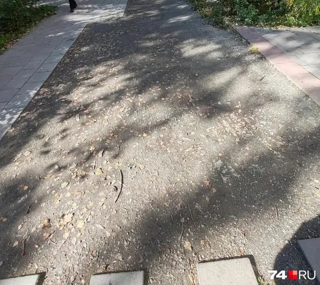 Горожанка пожаловалась на разрушенную плитку; договор с подрядчиком расторгнут, назначена экспертиза, ремонт будет возобновлен после решения суда.