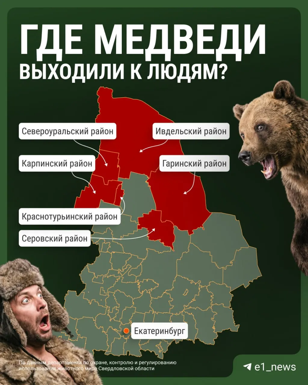 В регионе фиксируют увеличение случаев приближений медведей к населённым пунктам; специалисты предупреждают о риске и дают советы по безопасности.