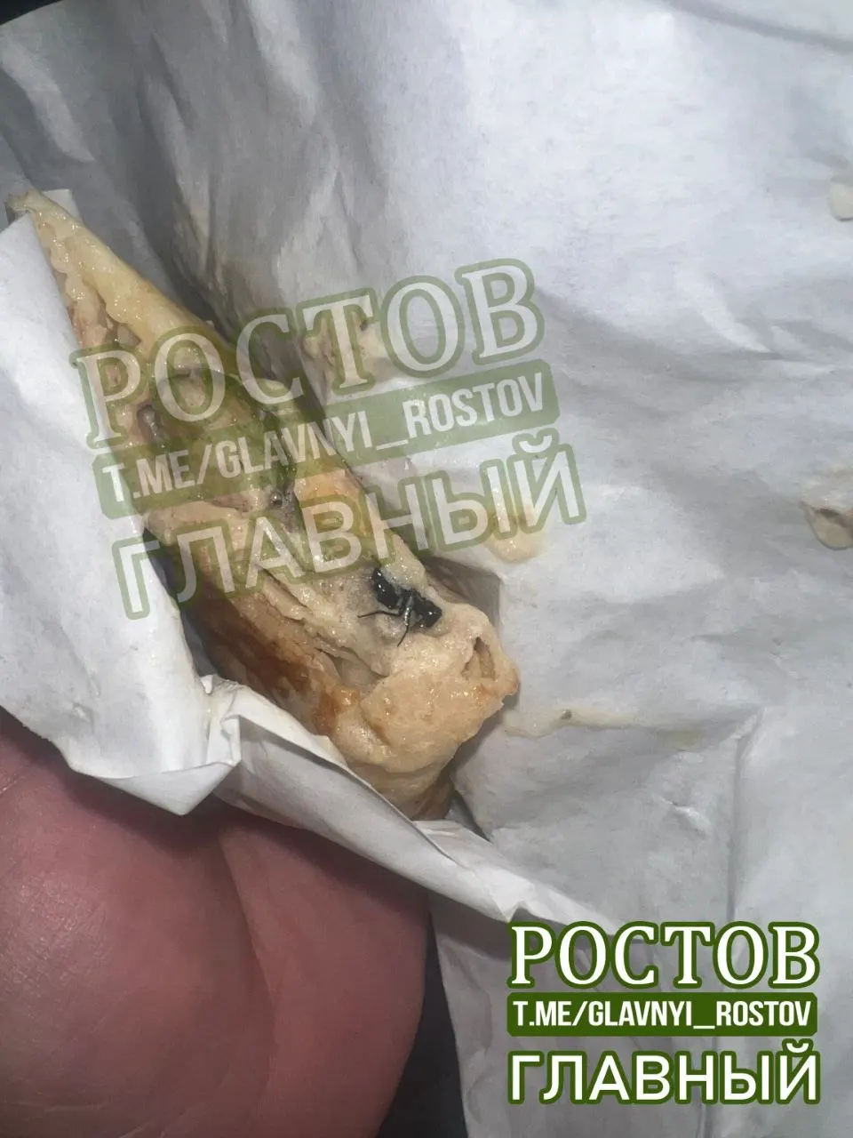 Читатель рассказал о находке мёртвой мухи в блюде и попросил руководство обратить внимание на качество и санитарные условия приготовления.