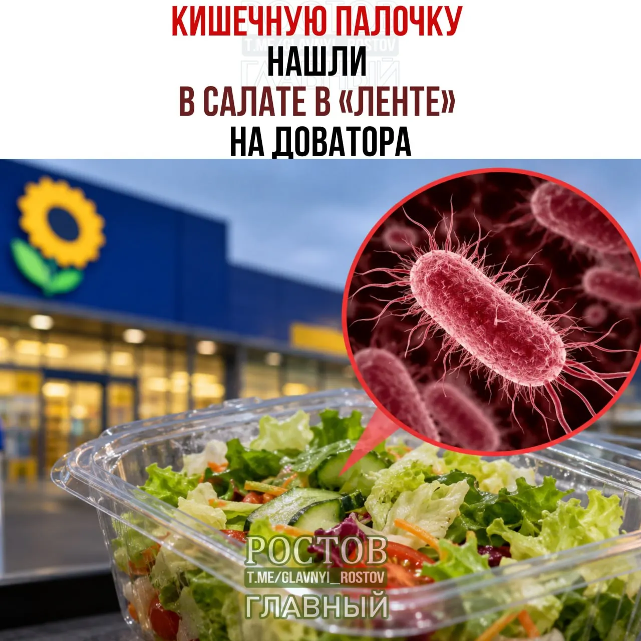 Роспотребнадзор зафиксировал бактерии в салатной продукции; покупатели жаловались на плесень в сгущёнке и неполадки с морозильниками.