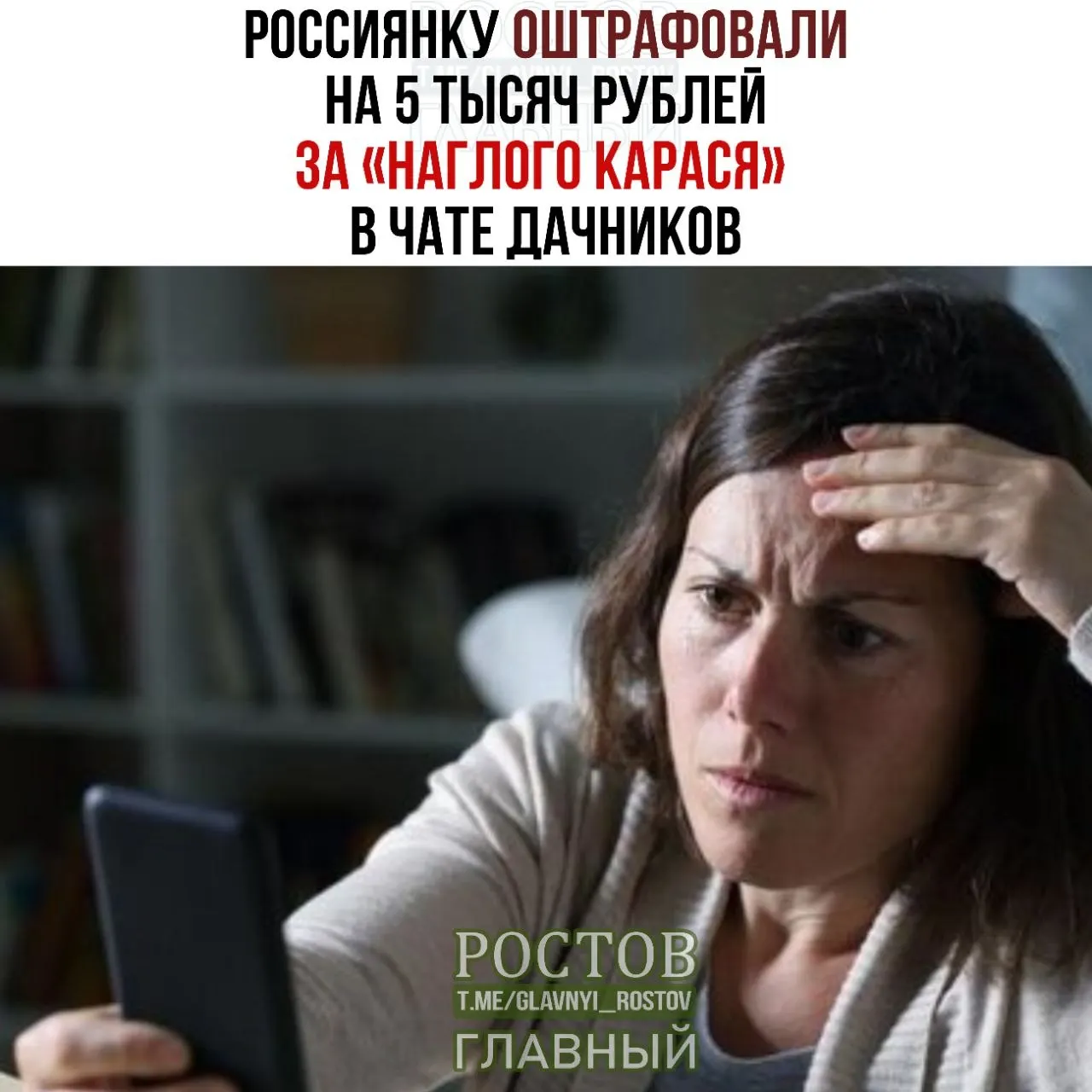Председатель СНТ подал в суд после оскорбления в общем чате; эксперт по русскому языку подтвердил негативный оттенок выражения.