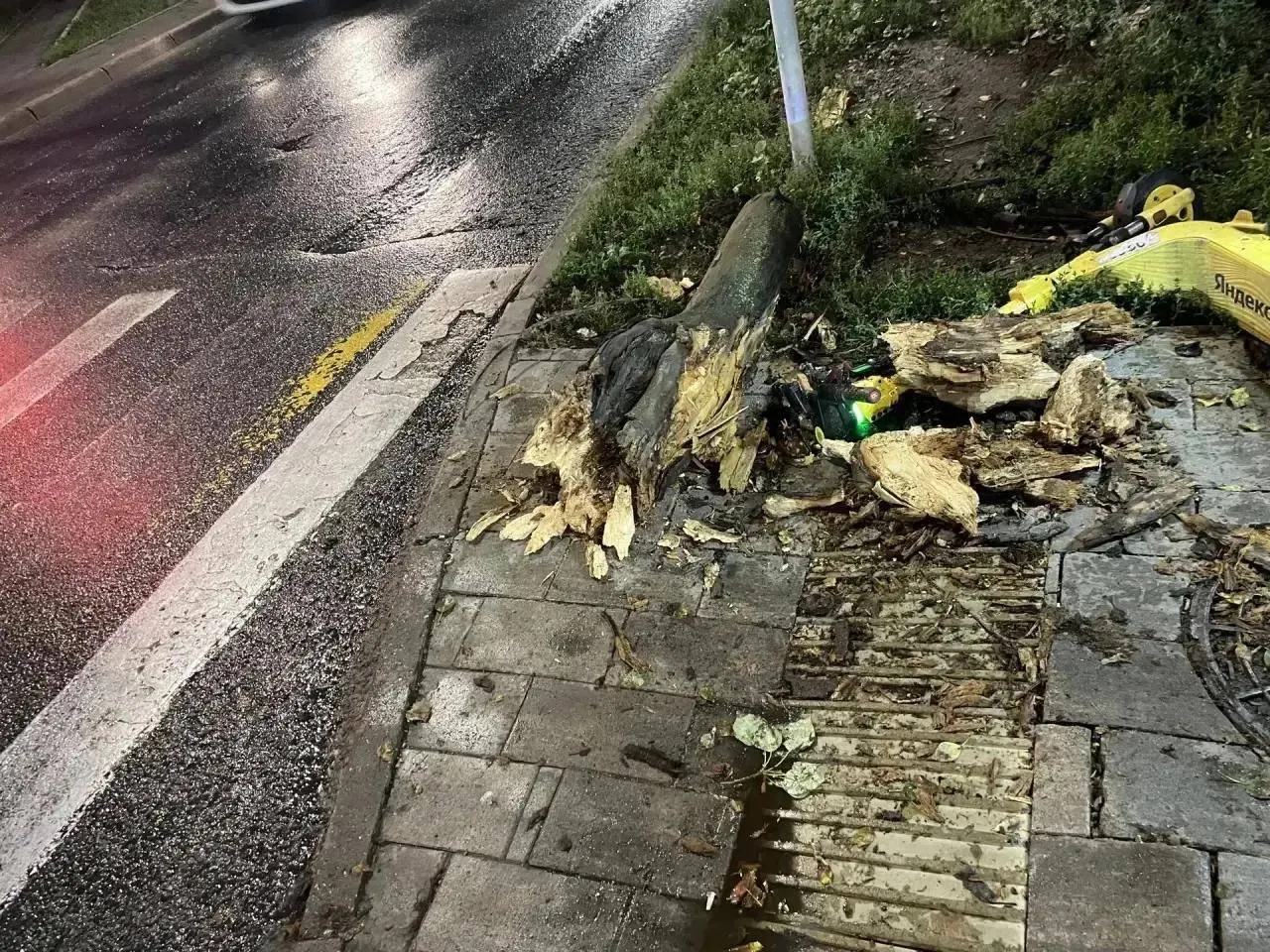 Дерево упало на 13-летнюю школьницу вечером на улице Клинической в Самаре; пострадавшей оказали медицинскую помощь.