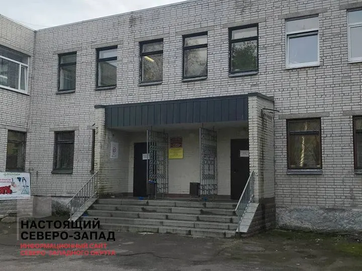 Из-за нехватки медсестёр в детской поликлинике Кировска ребёнку-инвалиду пришлось ездить в Апатиты на сдачу крови; мать пыталась обратиться в Минздрав, но дозвон не состоялся.