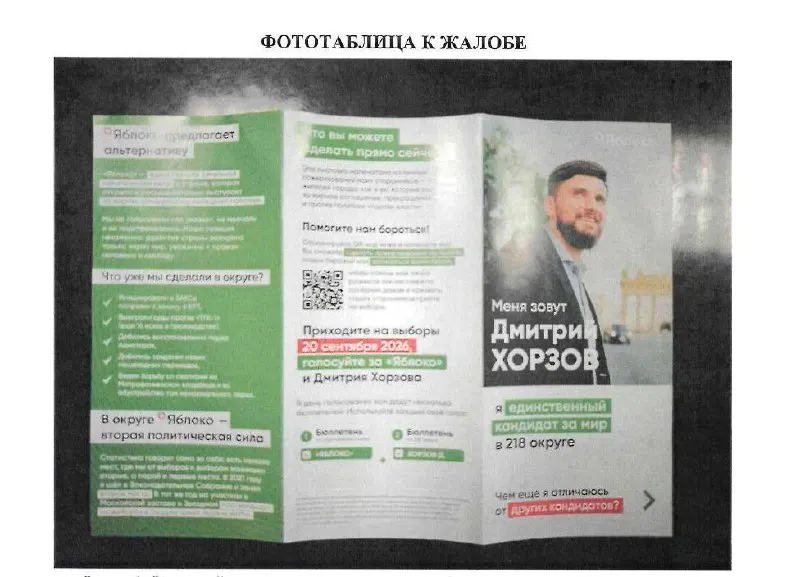 Жалоба на агитацию, связанная с лозунгом о мире, передана в прокуратуру и Следственный комитет; самому кандидату вынесли предупреждение.