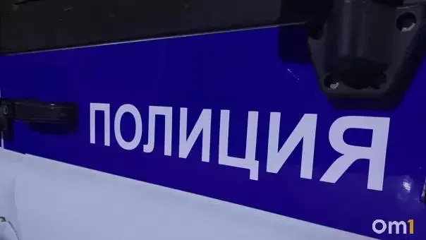 Жительница Омска стала жертвой онлайн-мошничества: она перевела продавцу крупную сумму за несуществующих щенков мальтипу, сейчас полиция расследует дело.