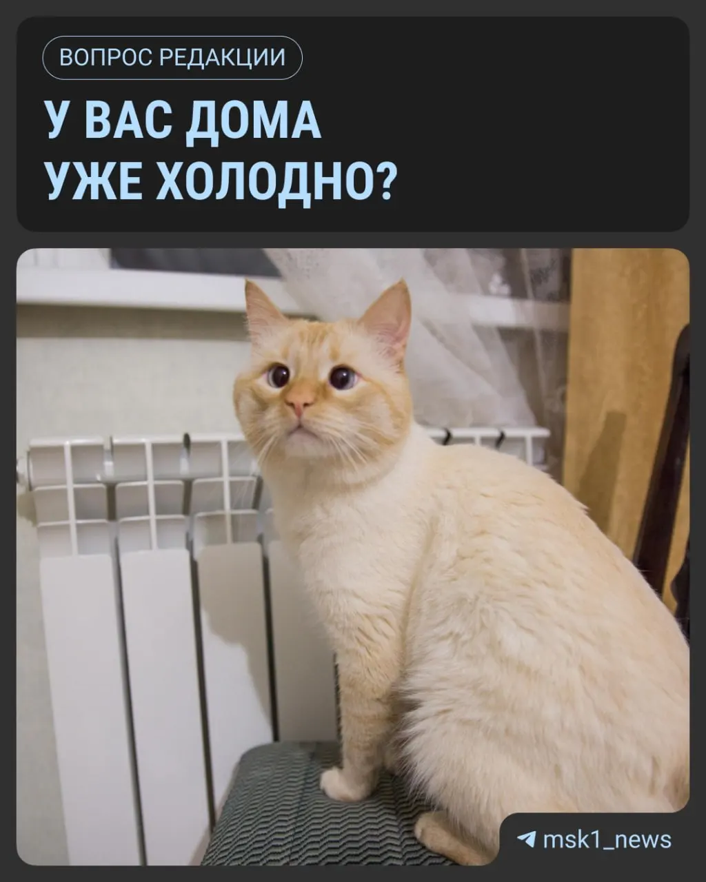 Температура опускается, и старт отопления зависит от погодных условий: тепло подают, когда среднесуточная температура держится ниже +8 °C в течение пяти дней.