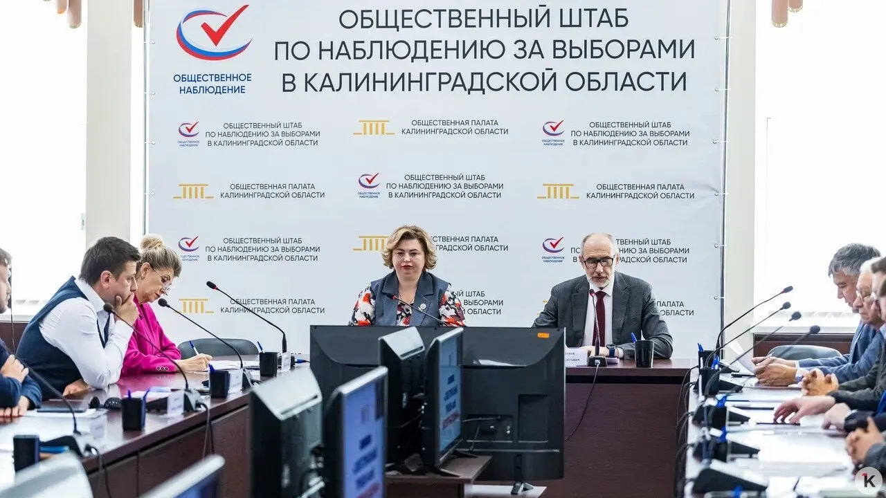 Общественные наблюдатели, юристы и сотрудники по голосованию будут контролировать процесс на участках, в мобильной группе и через дистанционное голосование для избирателей.