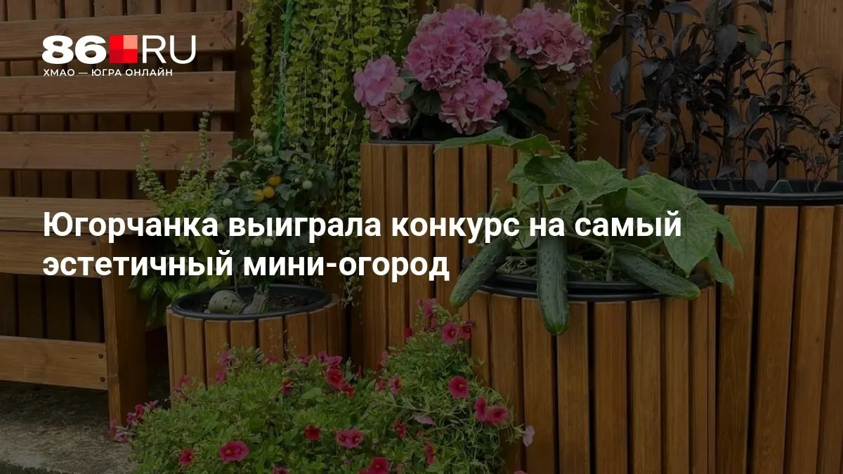 Участники могли включать любые овощи, ягоды, цветы и пряные травы; победительница представила яркую, аккуратную композицию.