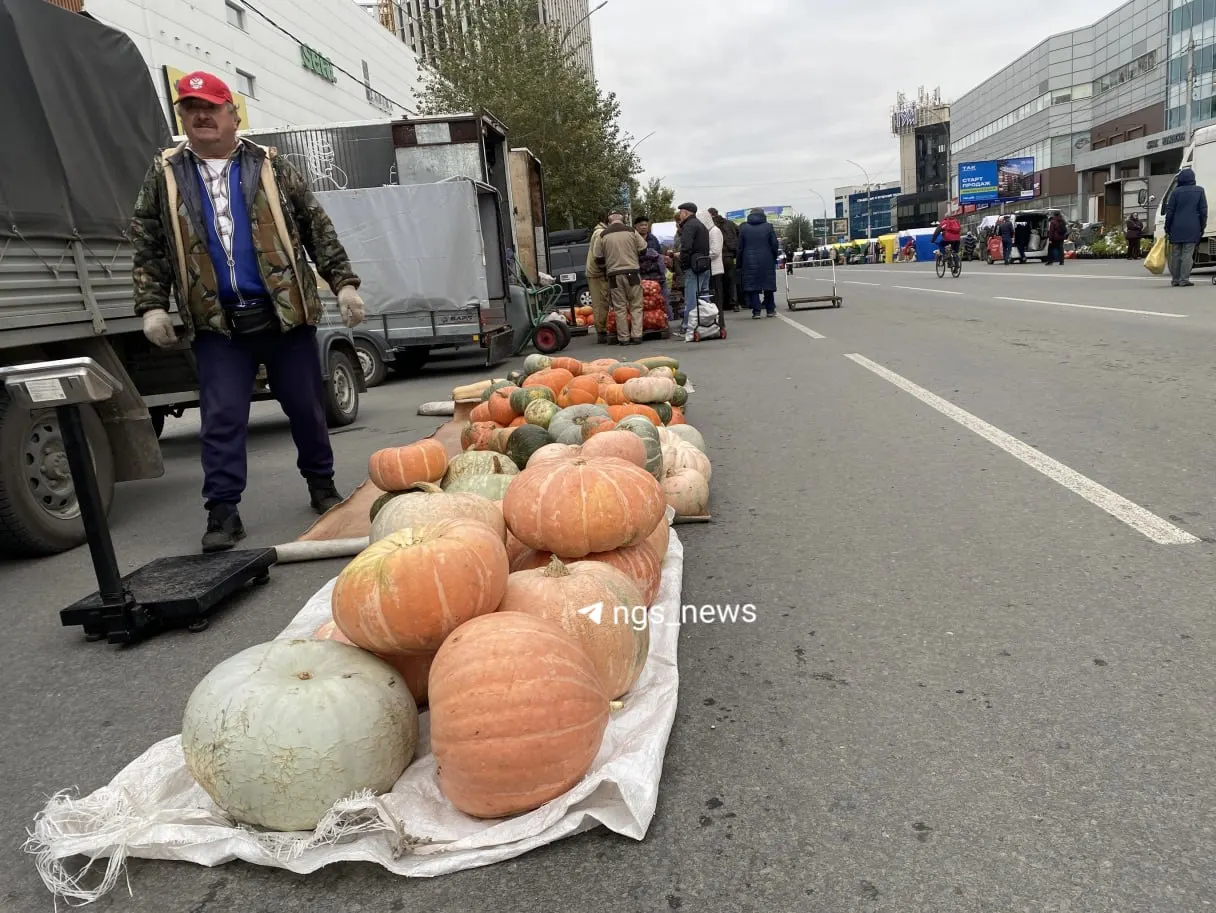 На площади Маркса начинается сезонная ярмарка с широким выбором овощей, дикоросов, сушеных грибов, лесной ягоды и кедрового ореха, а также семян помидоров и декоративных растений. Продавцы также предлагают крупную домашнюю птицу по 500 рублей за килограмм. Ярмарка работает до 16:00, но товары могут распродаться раньше.