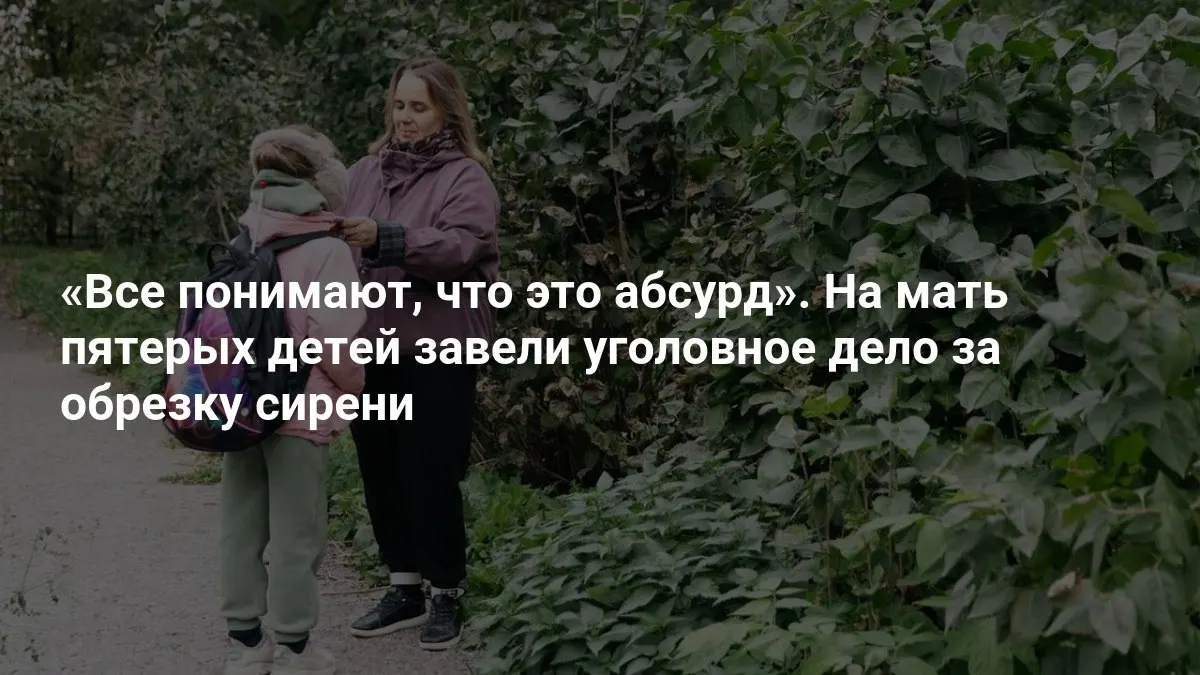 История об уголовном деле, связанном с обрезкой сирени во дворе частного дома, которое вызвало резонанс в обществе.