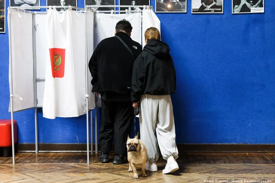 На 12:00 подсчет голосов по выборам в Горсовет Калининграда еще не завершен; по предварительным данным большинство мест достались кандидатам от Единой России.