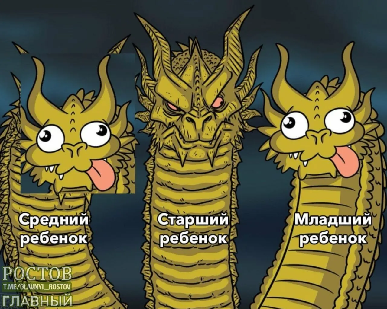 Учёные связывают различия в развитии с окружающей средой и воспитанием: влияние на внимание к ребёнку и общение с ним, а не на гены.