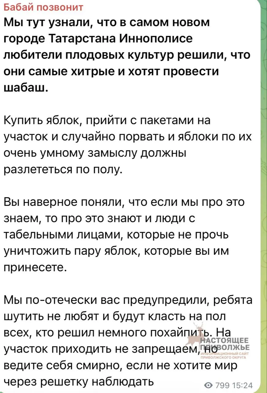 Угроза участникам выборов: администратор сомнительного канала пообещал меры против тех, кто придет на участок ради хайпа.