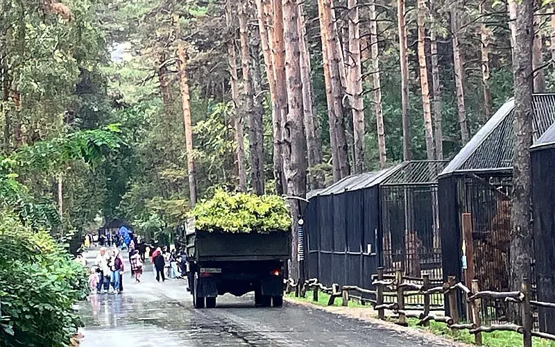 Посетители зоопарка жалуются на введённое ограничение передвижения детей под предлогом безопасности, в то время как по парку продолжают работать другие развлечения.