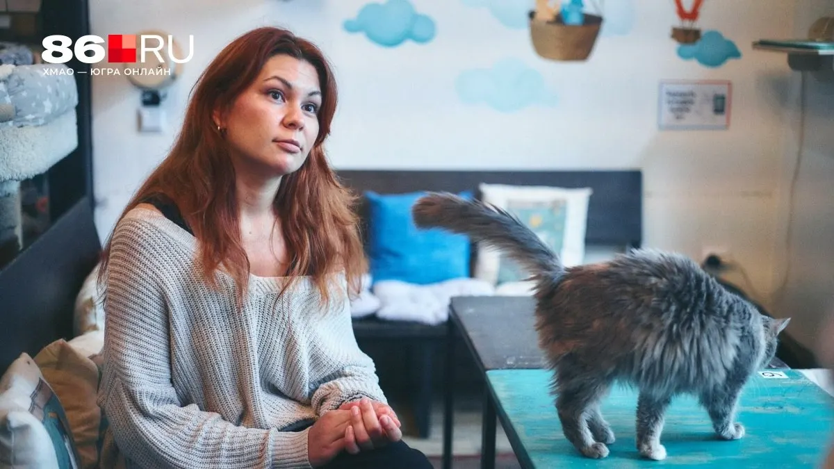 Разбираемся, чем занимается котокафе, как попасть туда и можно ли привести своего кота.