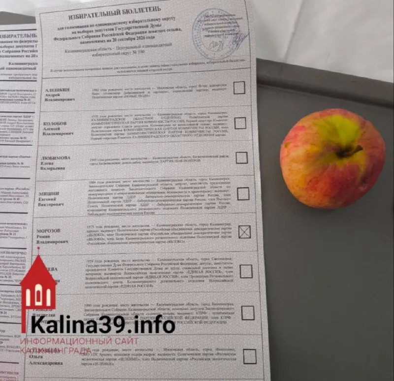 Средний результат кандидатов составил 13,65%; два участника набрали 15,03% и 12,27% в своих округах. При этом списки могли бы принести место в Заксобрании, если бы они были допущены.