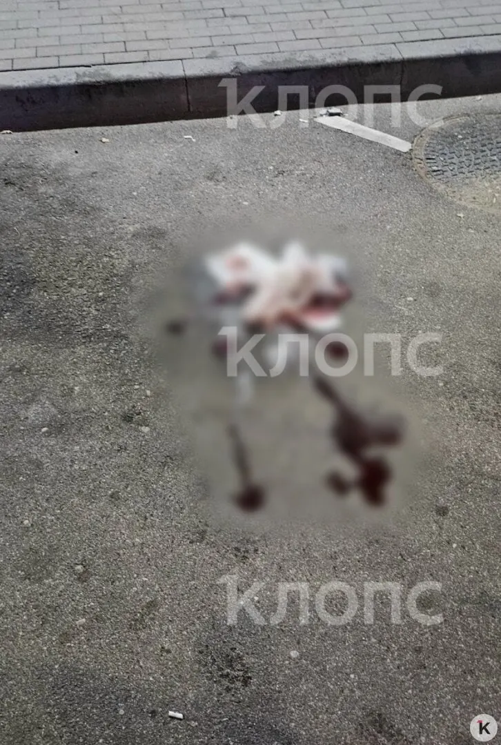Автомобилист нашёл на дороге раненого мужчину после ночного инцидента; подозреваемый задержан, расследование ведётся.