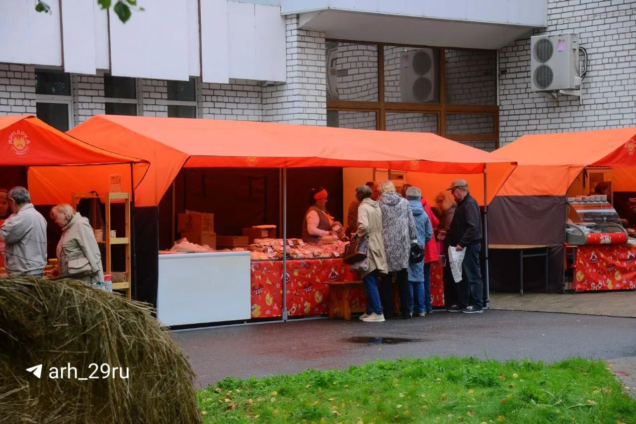 Ярмарка пройдет с 10 по 14 сентября на нескольких городских площадках Архангельска.