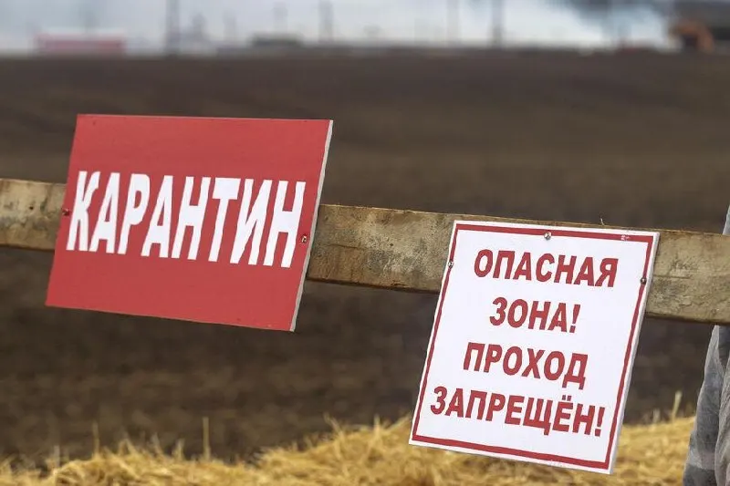 Карантин объявлен в трёх населённых пунктах Омской области после выявления очагов бешенства; ограничено перемещение животных и посещение территорий очагов.