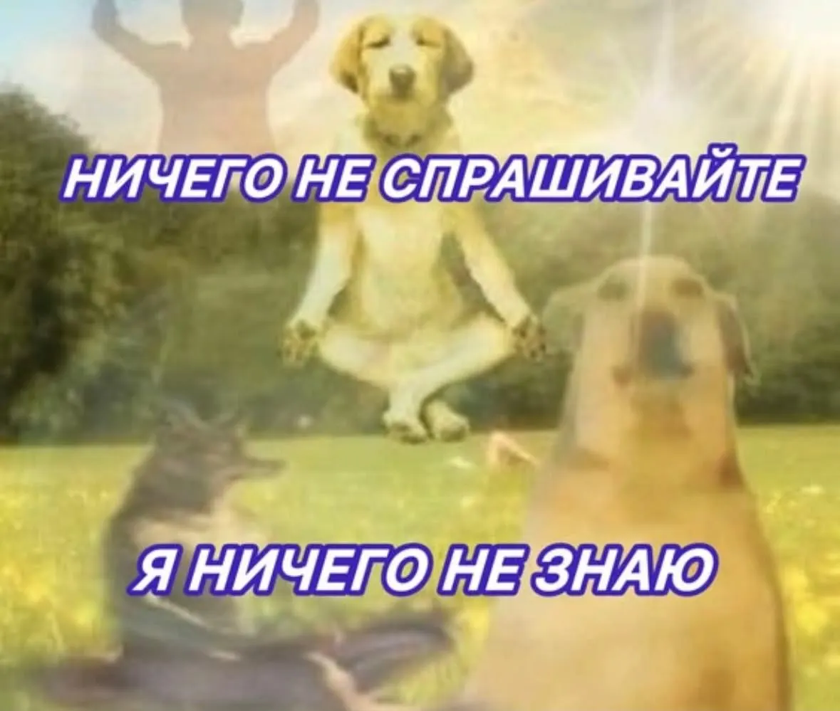 37-летняя женщина из Владивостока и её несовершеннолетняя дочь получили ВНЖ в США в 2024 году; было установлено, что уведомление в миграционные органы не подано.