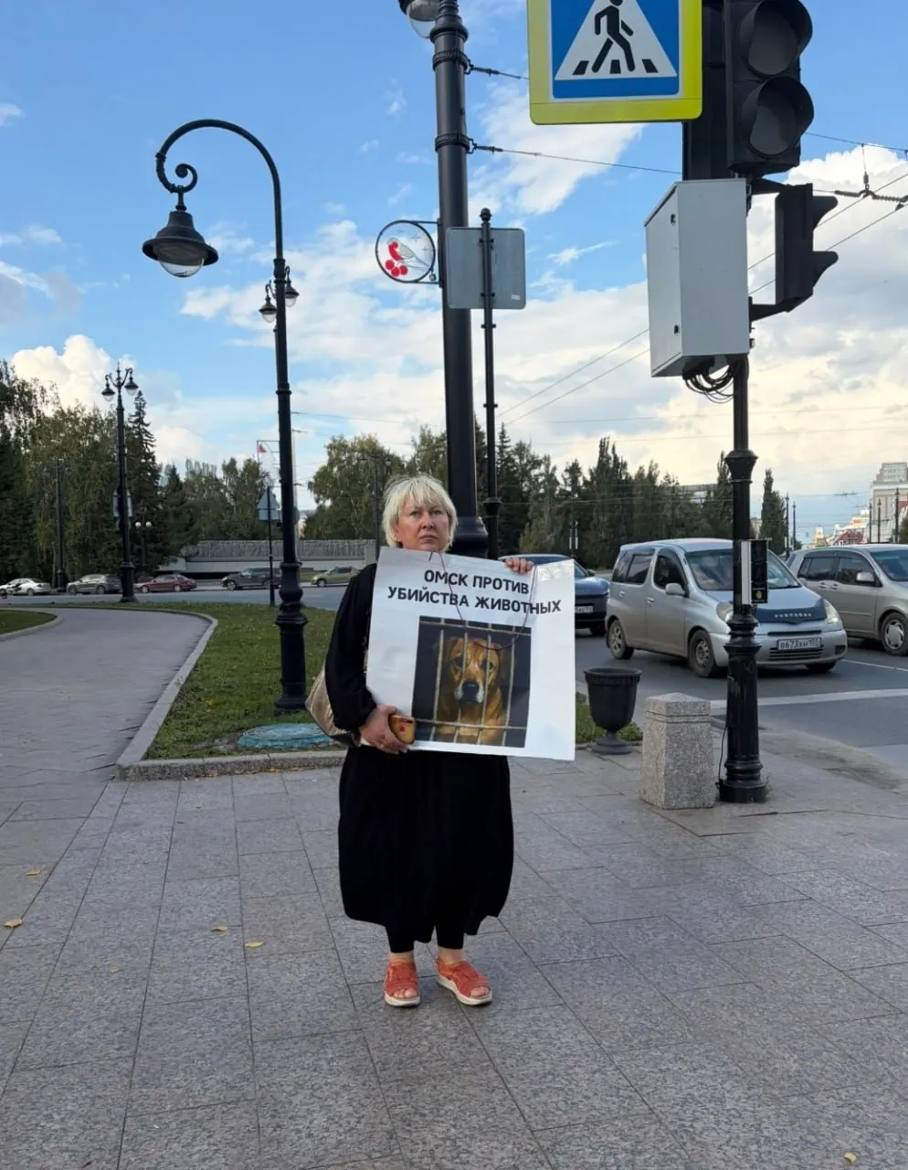 Участницы акции у мэрии протестуют против увольнения руководства приюта и возможной эвтаназии собак в рамках нового закона об экстремальных ситуациях.