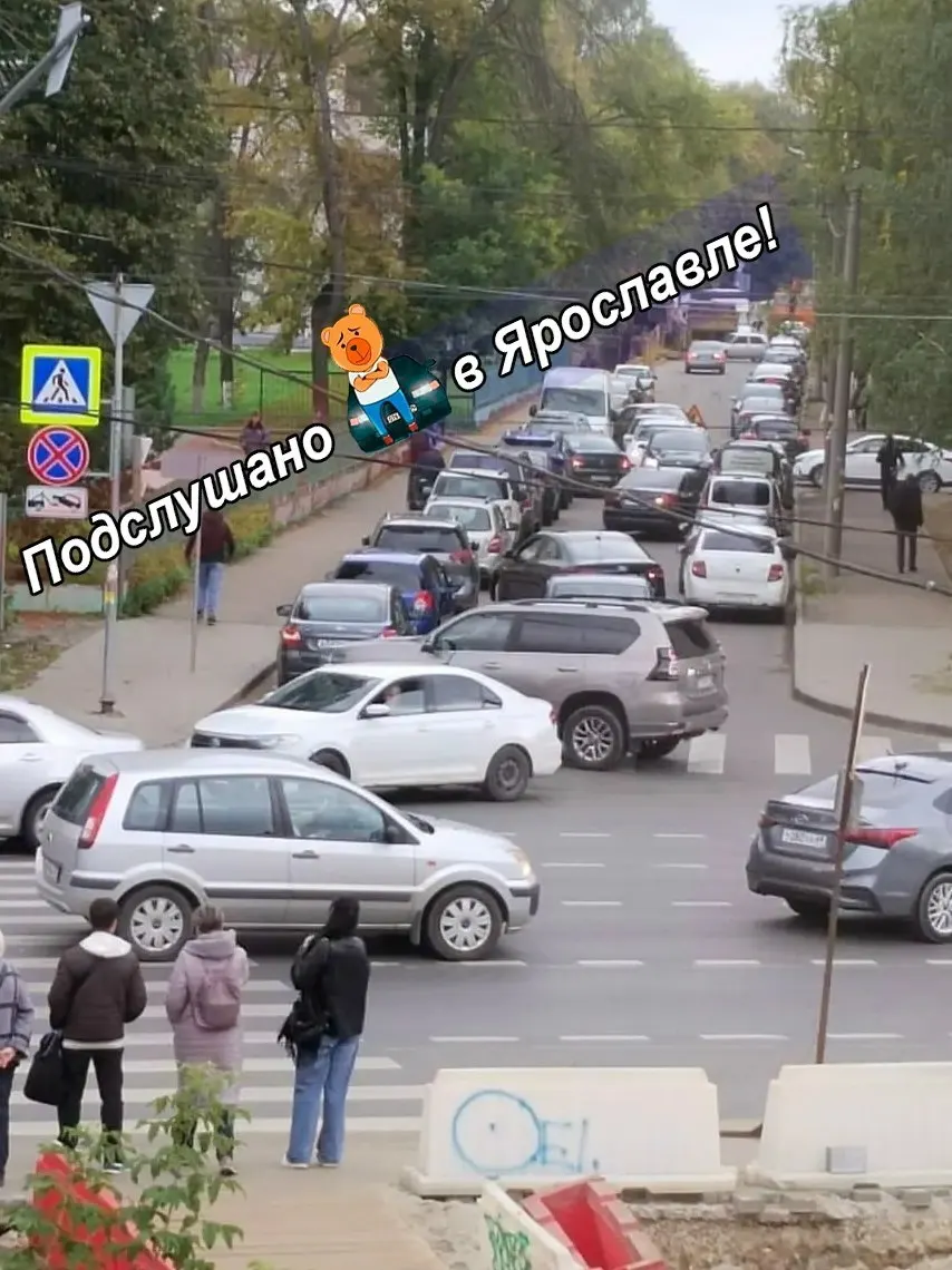 Полный запрет стоянки на участке улицы Загородный сад не остановил водителей; жители обсуждают ситуацию и меры.