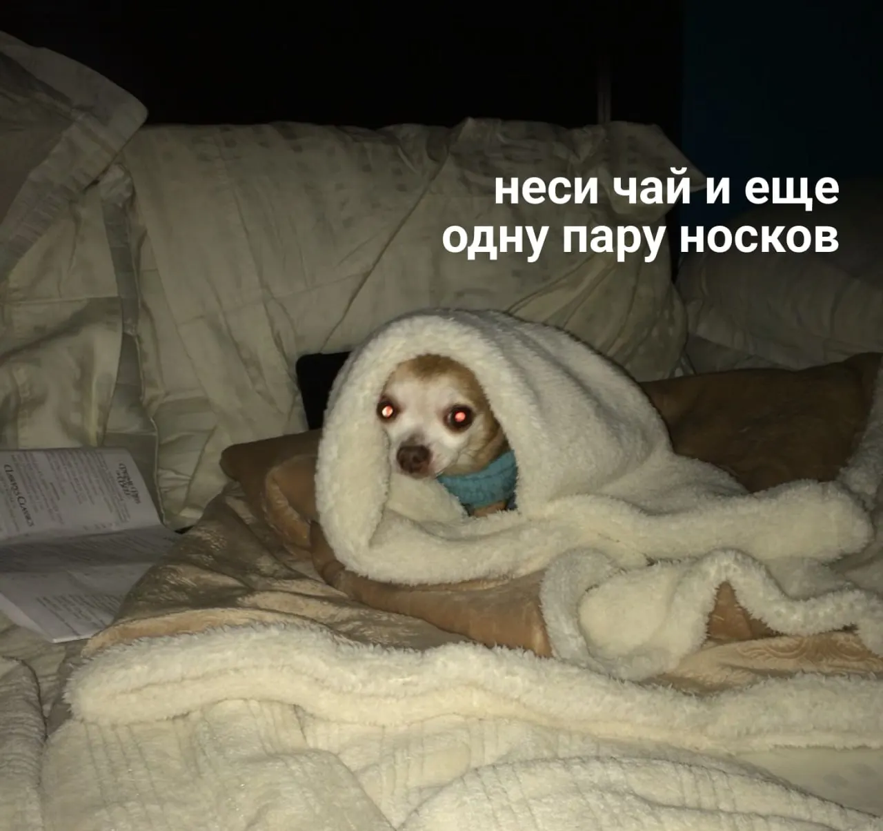Стартовал отопительный сезон в Нижнем Новгороде. Сообщаем, как подача тепла может повлиять на дома и призываем делиться опытом.