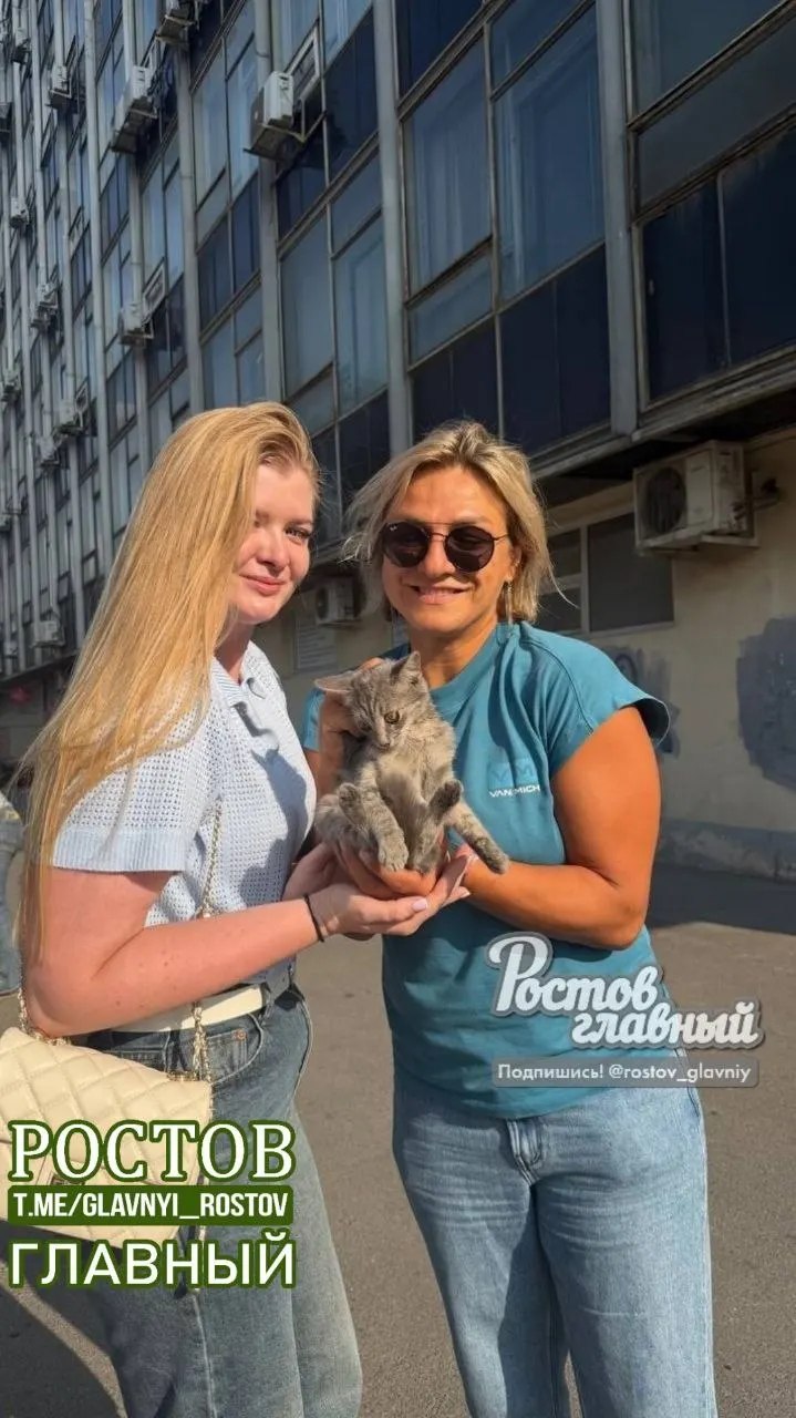 Маленький герой оказался в лифтовом узле у моста; спасение осуществили волонтёры и прохожие, животное направлено в ветклинику.