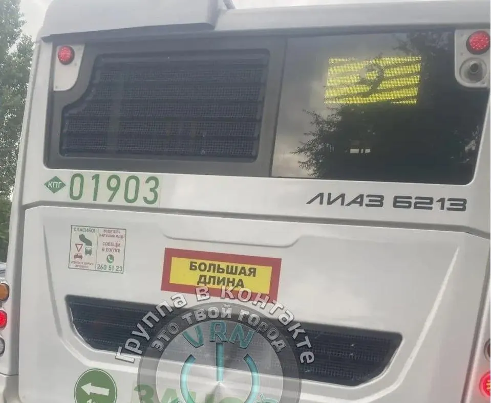 В Воронеже женщина повредила ногу во время попытки войти в автобус маршрута № 9