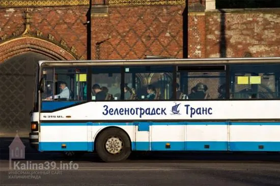Запущены три маршрута с двумя рейсами на каждом, чтобы доставлять людей к урнам голосования.