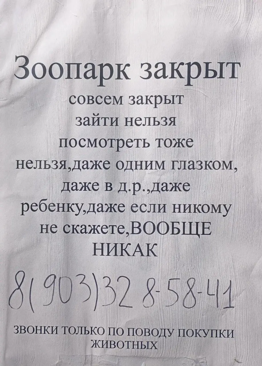 В Саратове в городском парке закрылся зоопарк «Крошка Енот». Животных распродают, посетители не допускаются.