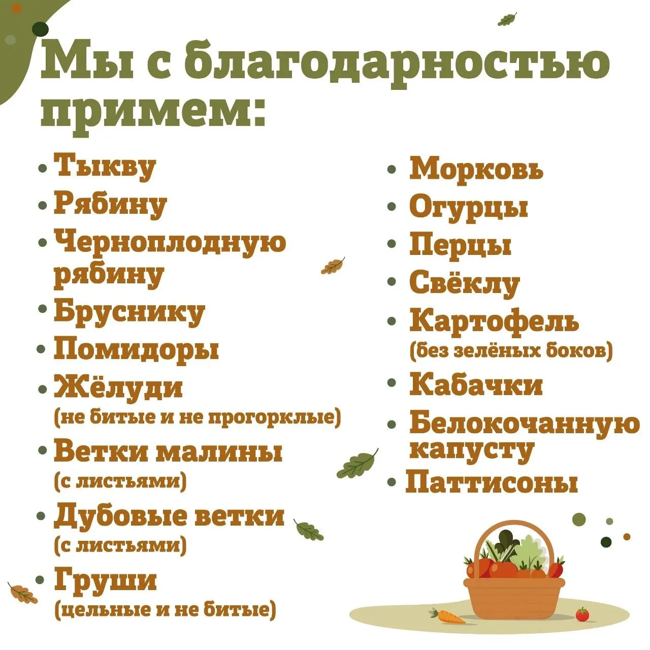 Акция подходит к концу: зоопарк просит приносить желуди.