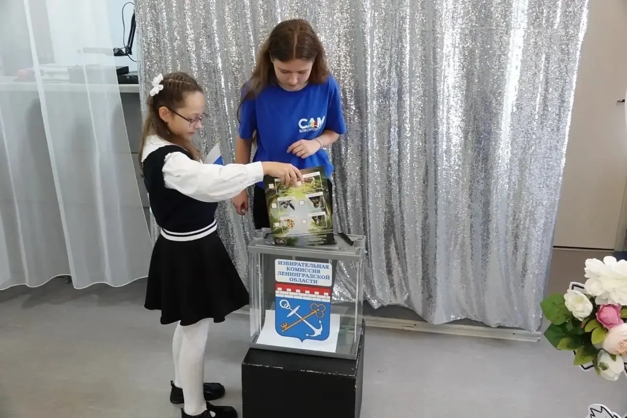 Ученики участвуют в игровом голосовании между вымышленными партиями в рамках гражданского воспитания, и на нескольких площадках зафиксированы победы.