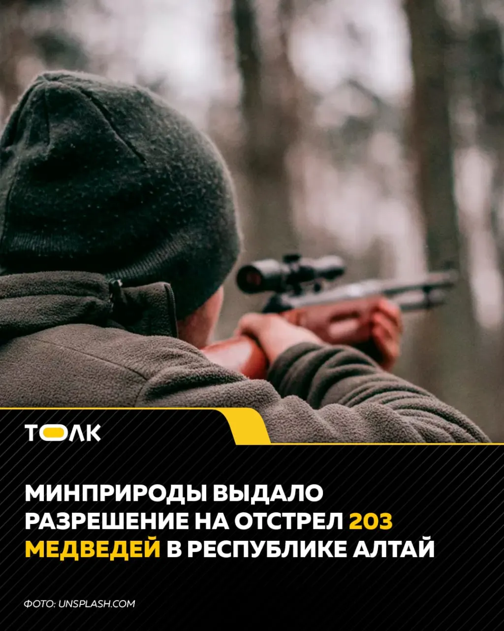 Разрешено добывать 1134 медведя в регионе в течение года; причиной служит угроза здоровью граждан со стороны охотничьих ресурсов.