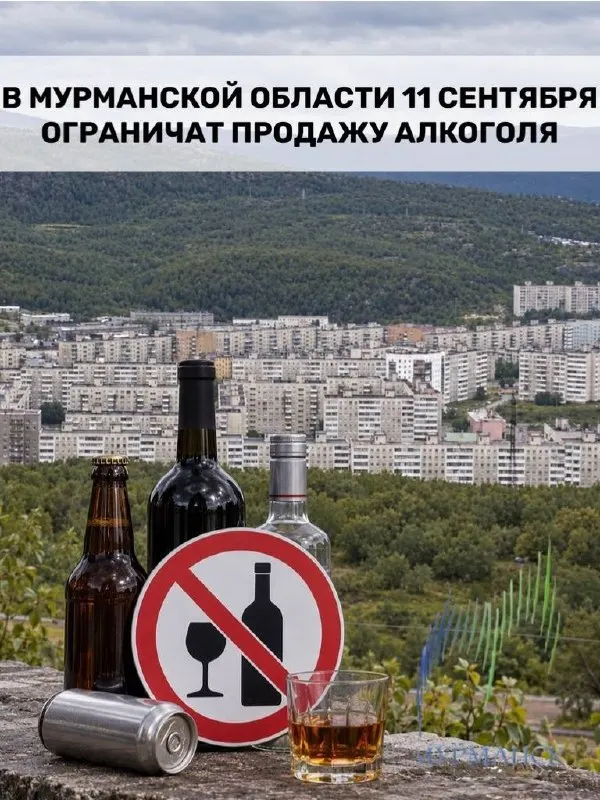 По всей стране в День трезвости вводят временные ограничения на розничную продажу алкоголя; Мурманская область присоединится к мерам в этот день.