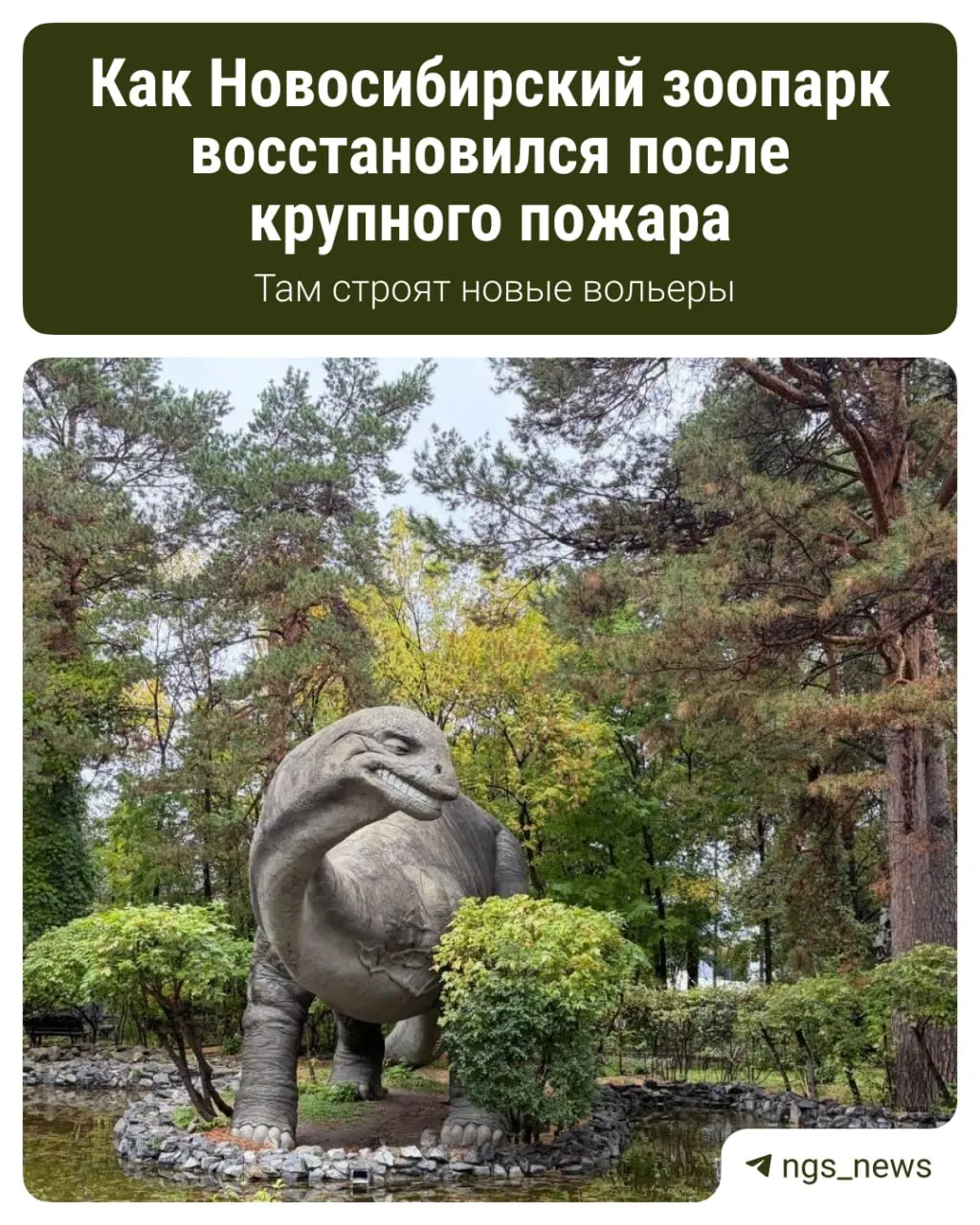 Пожар в зоопарке уничтожил два деревянных здания и унес жизни нескольких животных; спустя год в учреждении произошли изменения. Подробности в карточках.