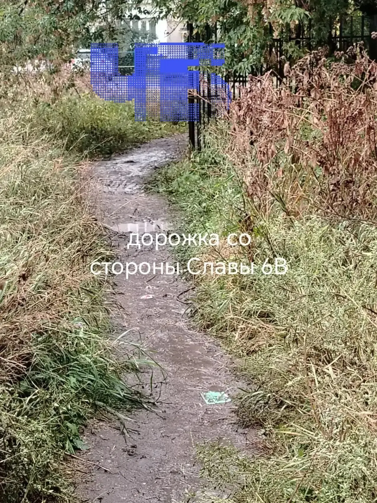 У входа в школу №1 Копейска часть путей закрыта: ученикам приходится идти через грязь и заросли, пока городские власти работают над улучшением подъезда. Родители требуют безопасного подхода и готовы к самостоятельным работам по участку.