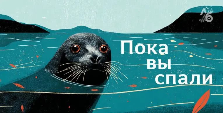 Ключевые события: политика, происшествия и экономика в России и мире.