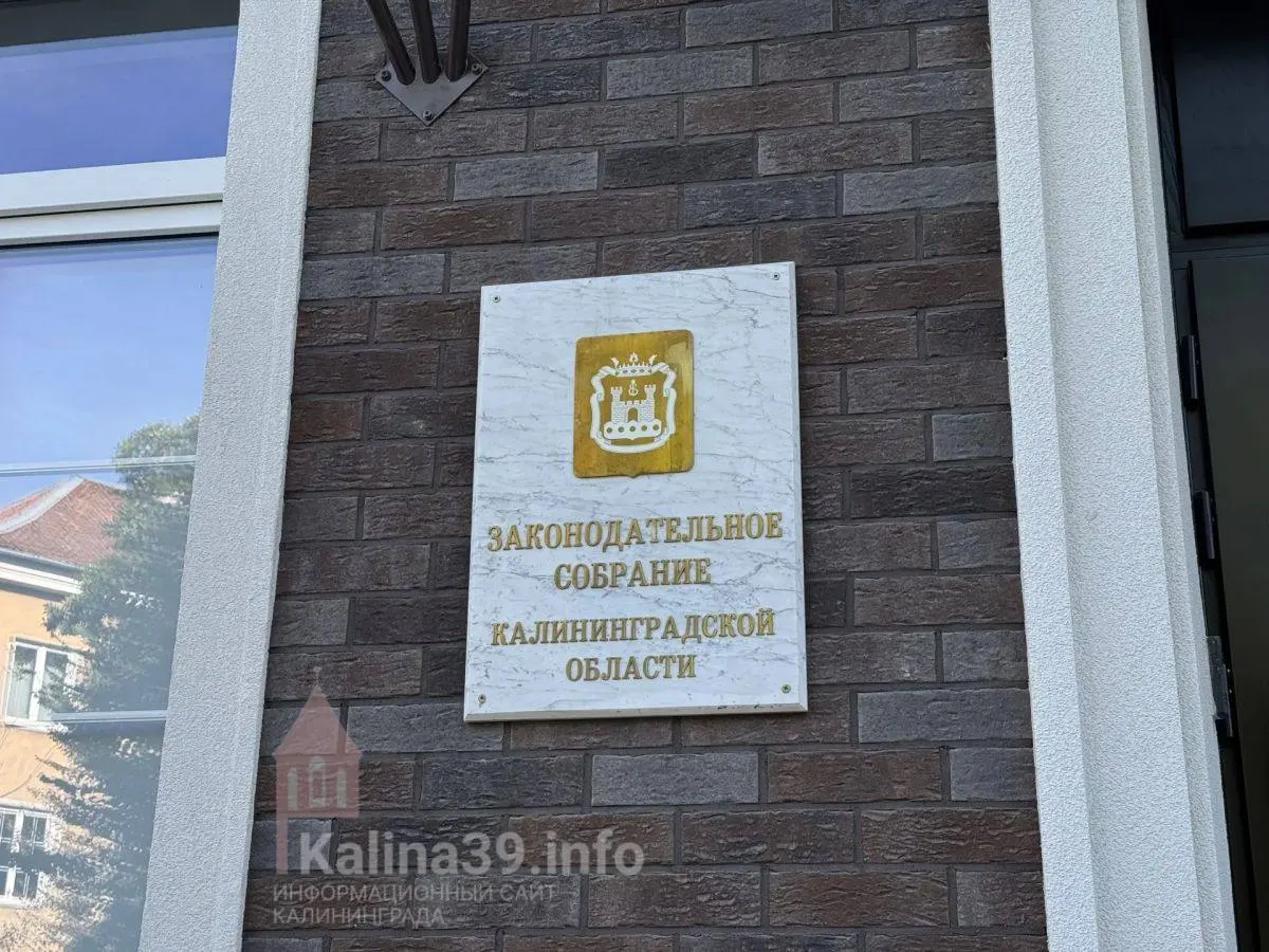 В парламент региона вошло 18 новичков, включая руководителей строительных компаний и фигурантов крупных госконтрактов, что может повлиять на региональное развитие и бюджет.