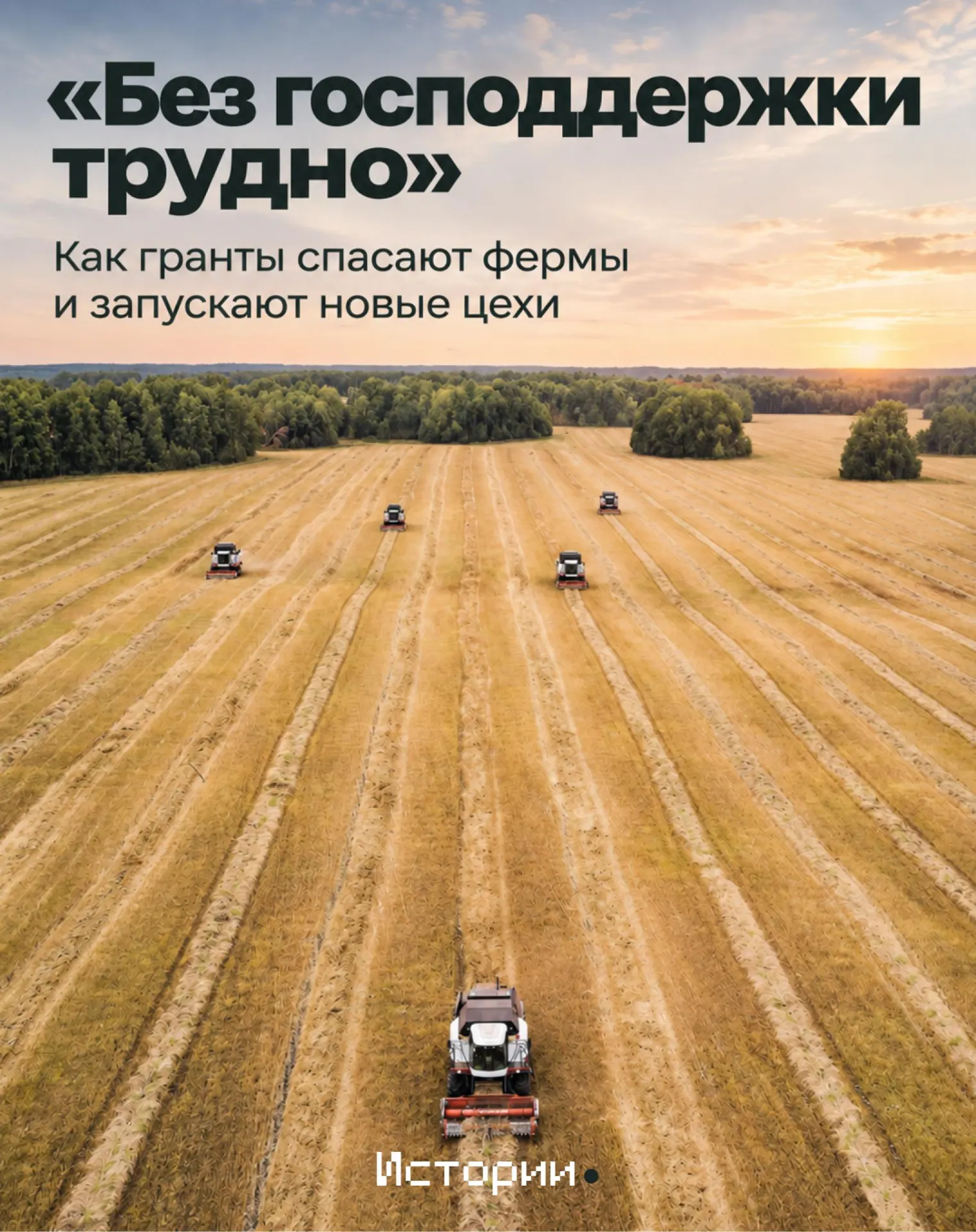 Разбор объема государственной поддержки сельского хозяйства, лидеров отрасли и ключевых трендов.