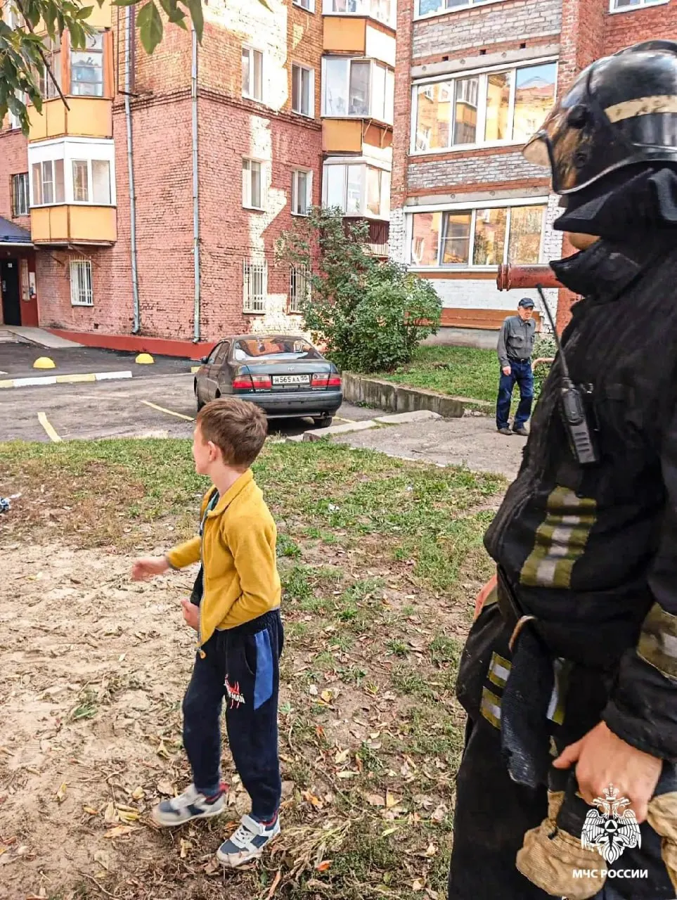 Мальчик полез на дерево, чтобы спасти котёнка, и благополучно спустил его на землю.
