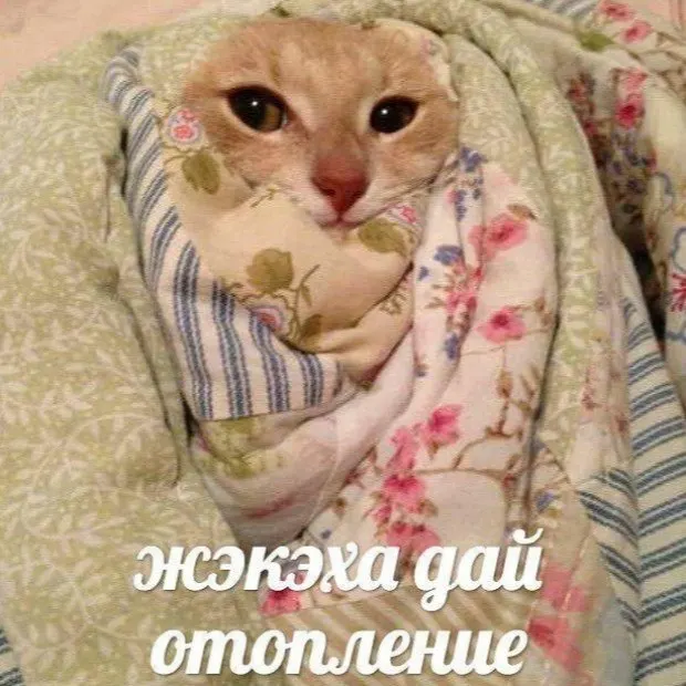 В Лоухах, Кеми, Костомукше и Калевале отопление уже запущено; в Петрозаводске действует переходный режим: тепло начнут подавать в школы и больницы, затем — в жилые дома.