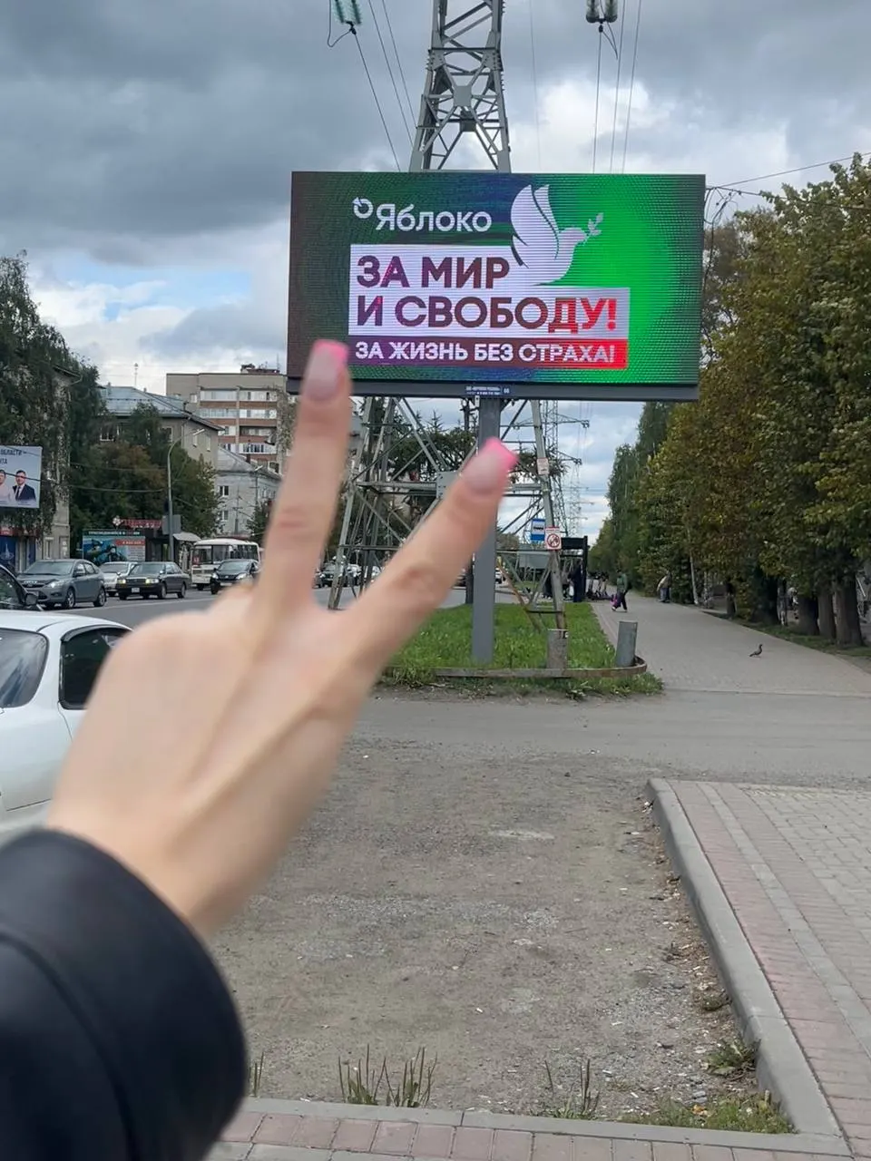ЛДПР подал иск об отмене регистрации «Яблока» на выборах в Томской области; слушание назначено на 11 сентября.