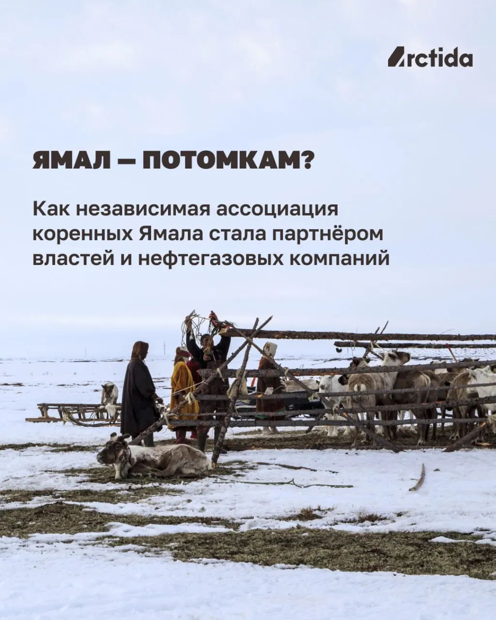 История организации, начавшейся с защиты тундры, сейчас делает упор на соцподдержку, жильё и образование, при этом критики указывают на связи с крупным бизнесом.